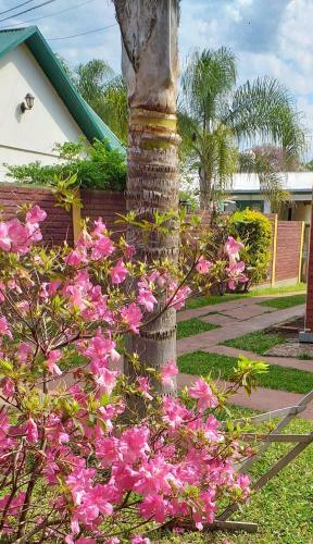 Apartamento Caba�a Don Oscar