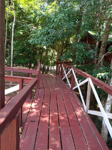 Hostal Vista Do Lago Jungle Lodge