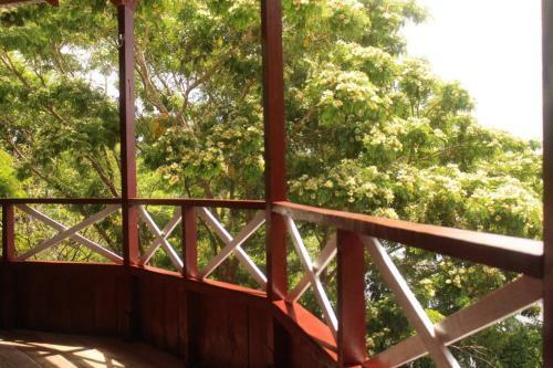 Hostal Vista Do Lago Jungle Lodge