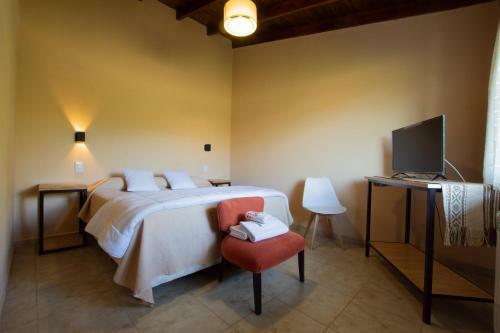 Bed & Breakfast Patagonia Suites