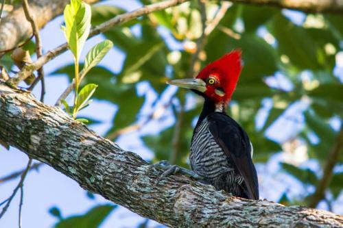 Ch�cara Beija Flor, No Meio Da Natureza