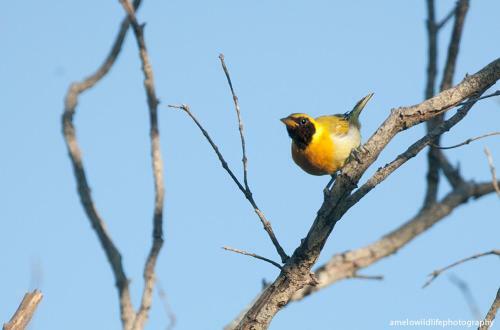 Ch�cara Beija Flor, No Meio Da Natureza
