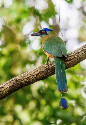Ch�cara Beija Flor, No Meio Da Natureza