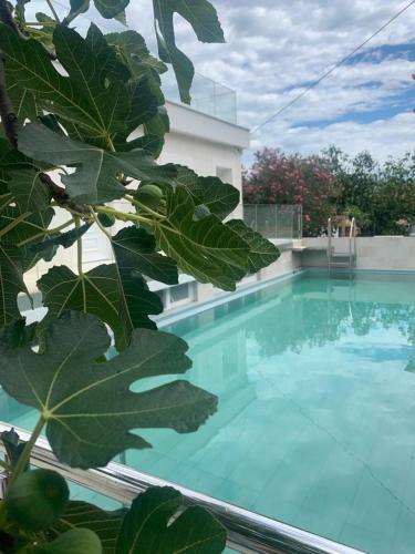 Apartamento Suite Stella