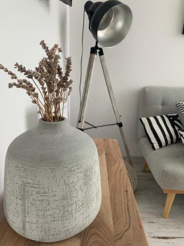 Apartamento Suite Stella