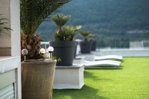 Apartments Holidays Roko
