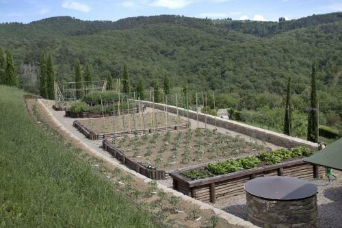Villa La Maccinaia
