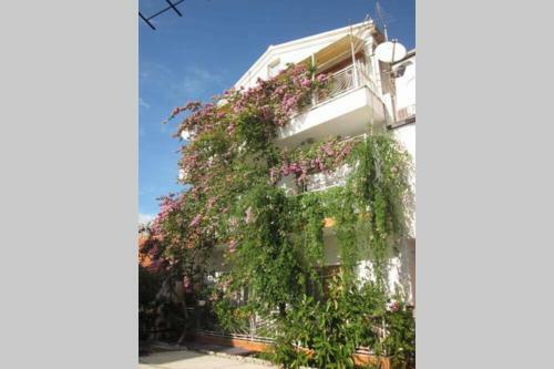 Apartman Graciela Perfect Location Gradac