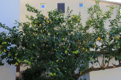 Apartments By The Sea Gradac, Makarska - 18151