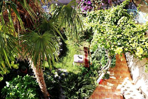 Apartamento Roso