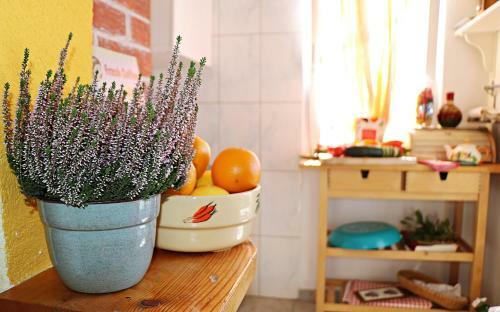 Apartamento Roso