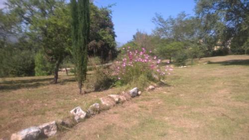 Apartamento Aldea Crataegus