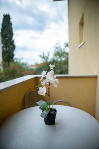 Apartments Vesna