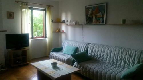 Apartment Branko