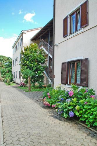 Apartment Branko