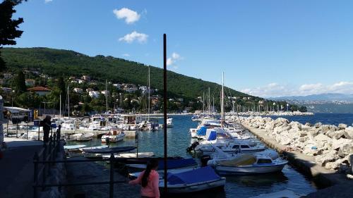 Hostal Apartments Jovic Opatija
