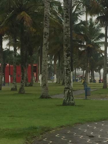 Apartamento Em Bertioga Sp