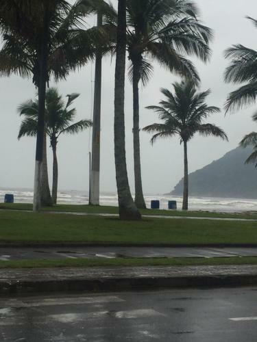 Apartamento Em Bertioga Sp