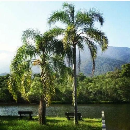 Suites Pr�ximo Ao Rio Jaguareguava Em Bertioga