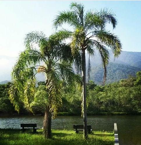 Suites Pr�ximo Ao Rio Jaguareguava Em Bertioga