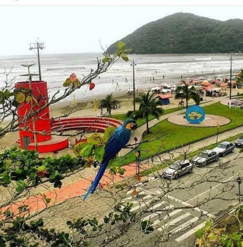 Suites Pr�ximo Ao Rio Jaguareguava Em Bertioga