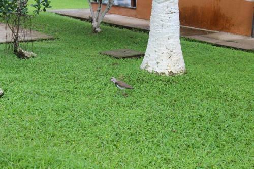 Hostal Associa��o Sabesp Bertioga - Sp
