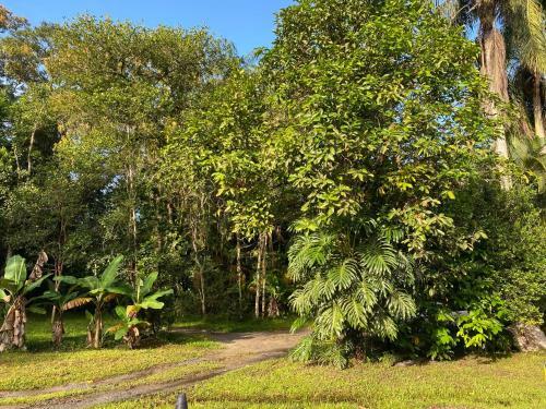 Ch�cara - Caiubura Bertioga