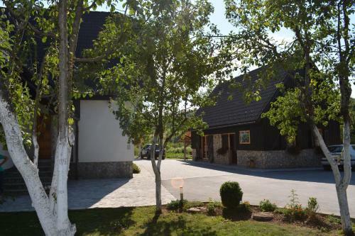 Hostal Rustic Inn River 3