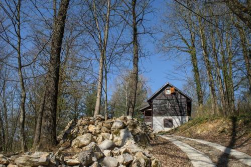Wooden House Near The River Kupa