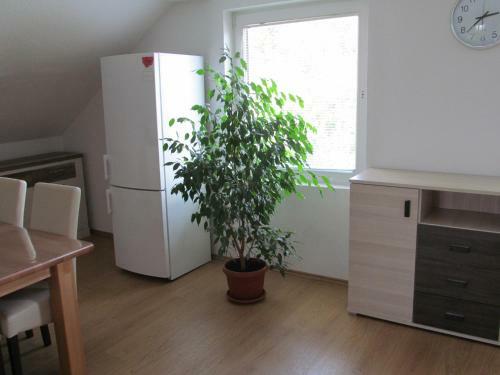 Hostal Apartments Natasa