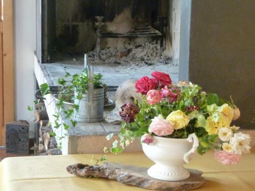 Hotel Antico Albergo Stella D'italia