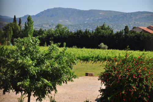 Bed & Breakfast Ch�teau De Jonqui�res (h�rault)