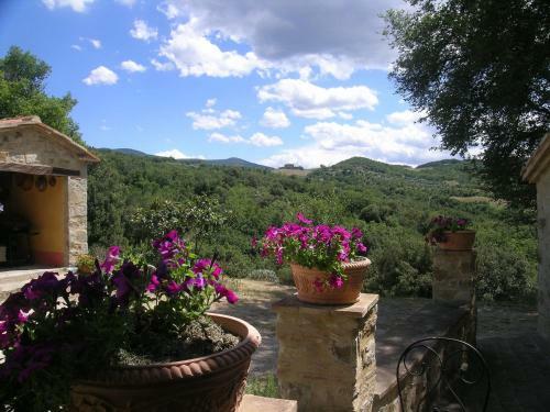 Agroturismo Bellavista