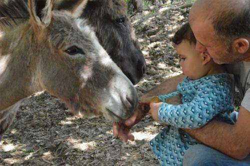 Agroturismo Bellavista