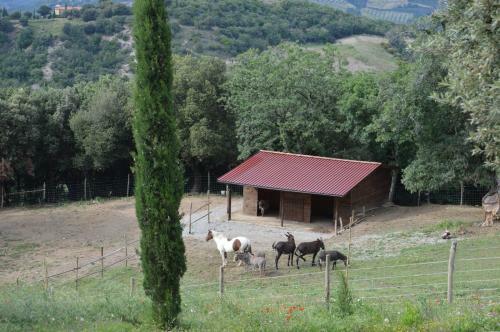 Agroturismo Bellavista