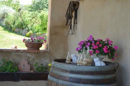 Agroturismo Bellavista
