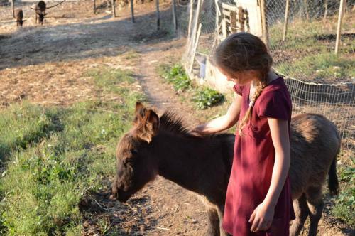 Agroturismo Bellavista
