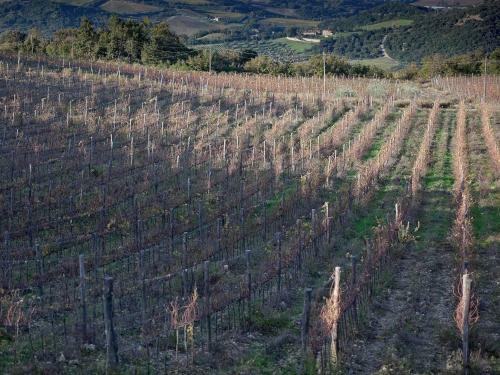 Agroturismo Tenuta La Silva