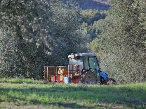 Agroturismo Tenuta La Silva