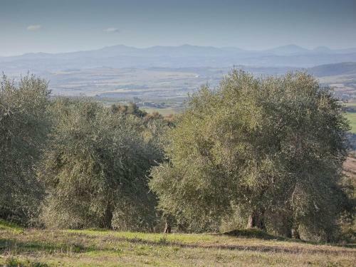 Agroturismo Tenuta La Silva