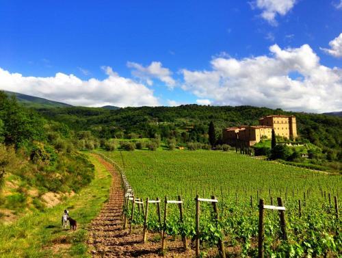 Agroturismo Castello Di Potentino