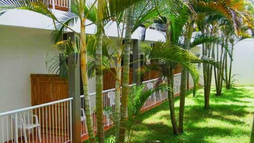 Golfinho Plaza Hotel