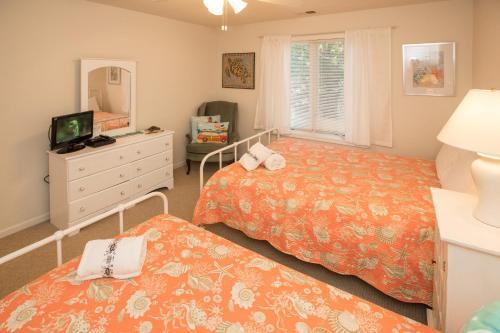 Seaside - Sand Dollar C-103