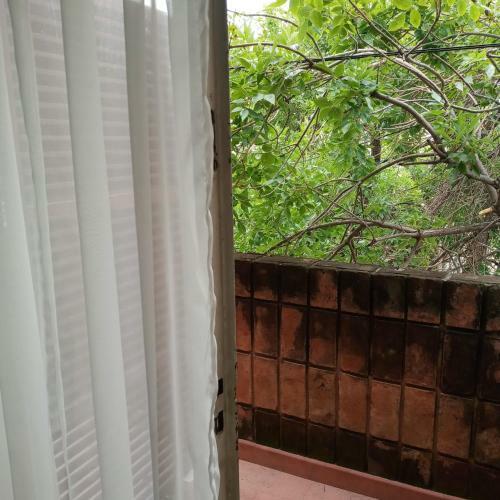 Apartamento Amplio 2 Dormitorios En Cofico