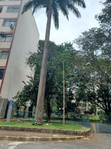 Apartamento Asa Sul - Quadra 212