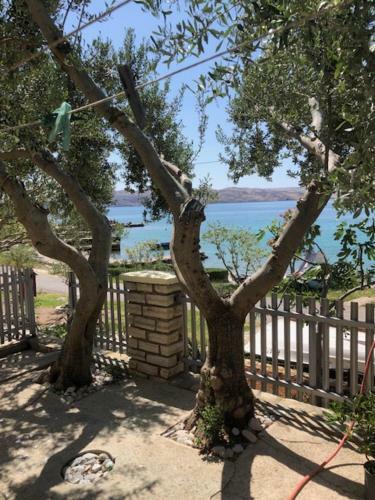 Apartment Milka By The Sea