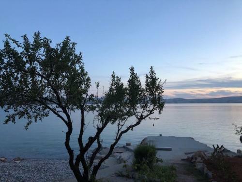 Apartment Milka By The Sea