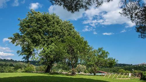 Agroturismo Agriturismo Bio Le Macchie Alte