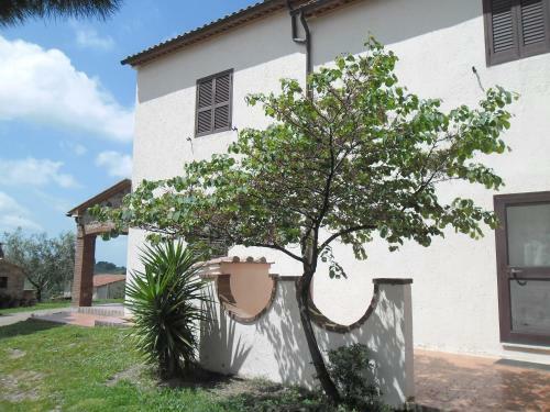 Agroturismo Poggio Petrella