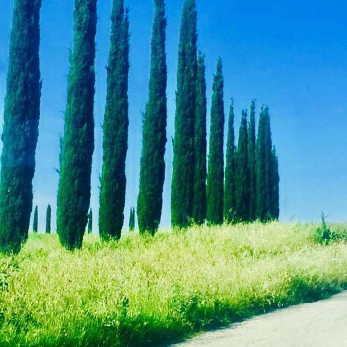 Agroturismo Il Girasole Terzuolo